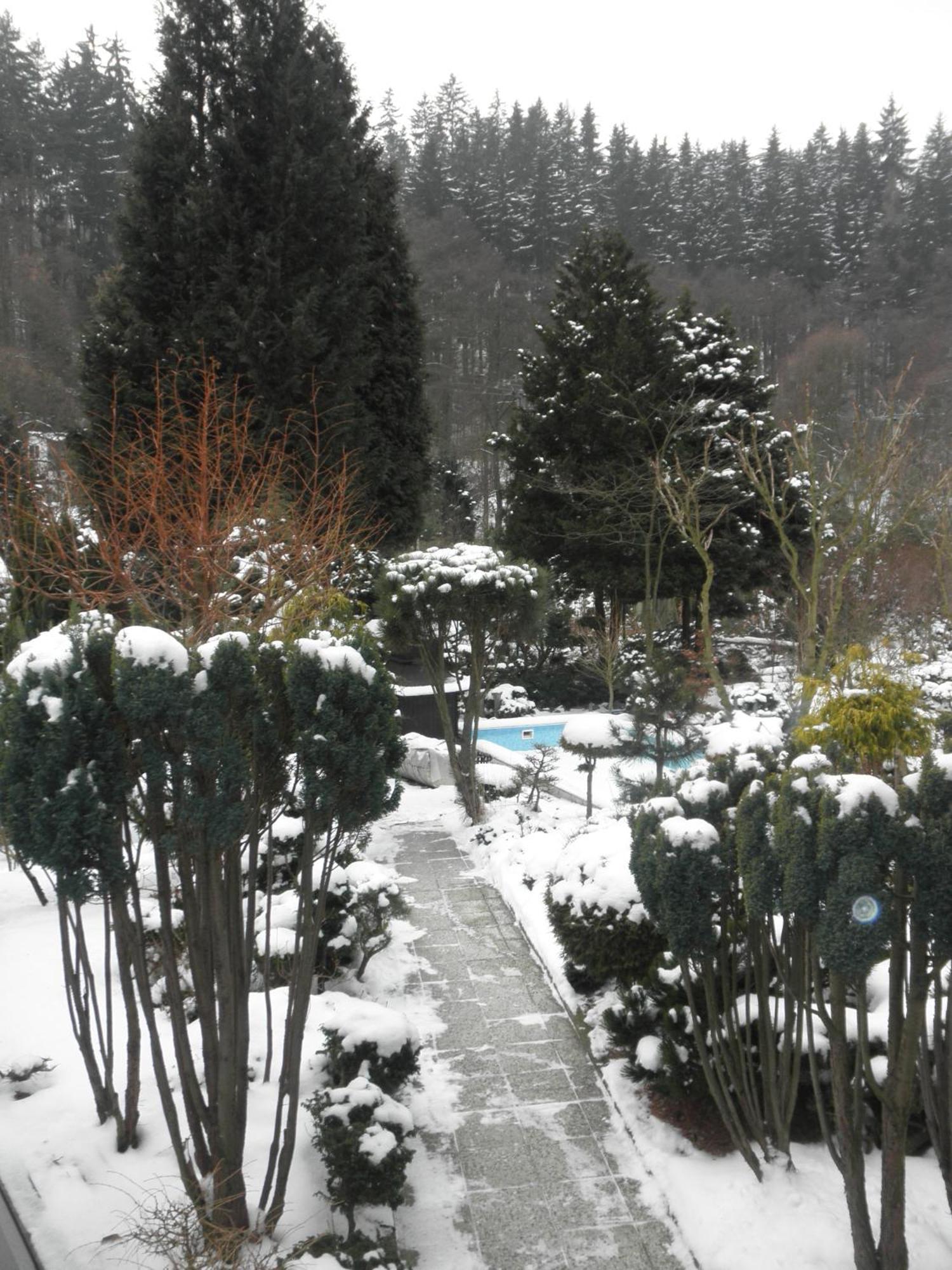 Pension U Kaktusu Karlsbad Buitenkant foto