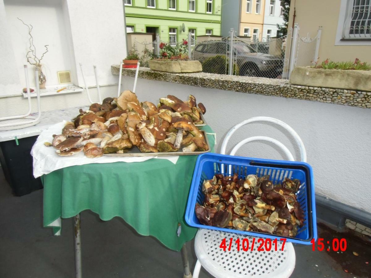 Pension U Kaktusu Karlsbad Buitenkant foto